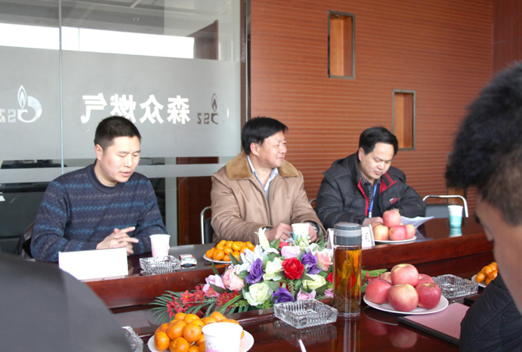 林口县政府与开云新人注册88元_开云（中国）燃气项目洽谈.png
